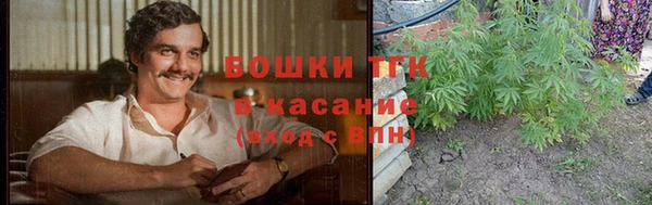 винт Осинники