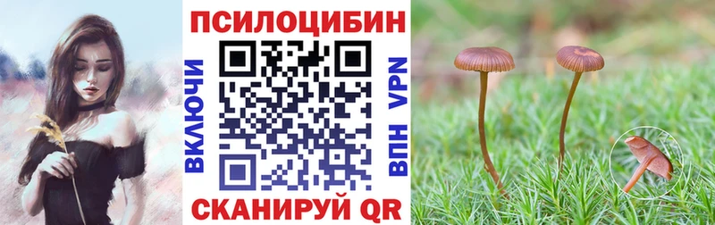omg сайт  как найти закладки  Озёрск  Галлюциногенные грибы Psilocybine cubensis 