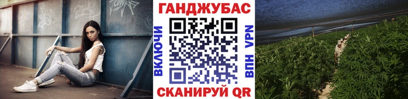 Канабис сатива  цена   Озёрск 